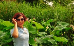 羞羞漫画官方网站免费漫画入口